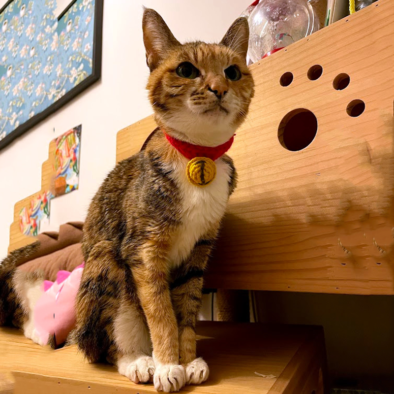 中世紀人像風格 (國王)